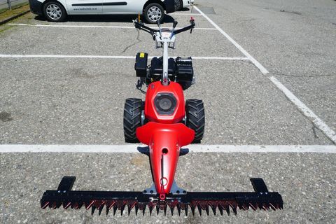 [3600-7117593-1.jpg]