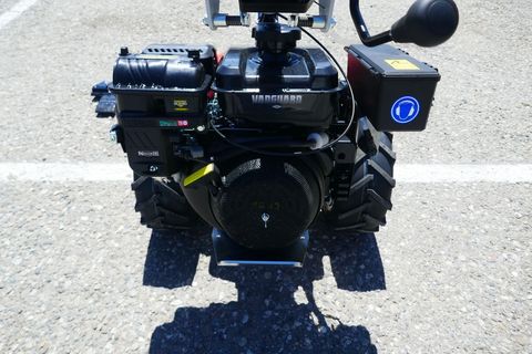 [3600-7117593-4.jpg]