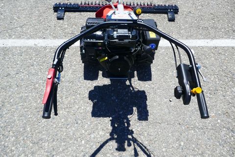 [3600-7117593-5.jpg]