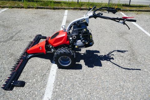 [3600-7117593-6.jpg]