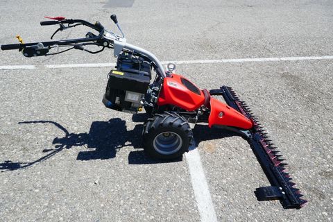 [3600-7117593-8.jpg]