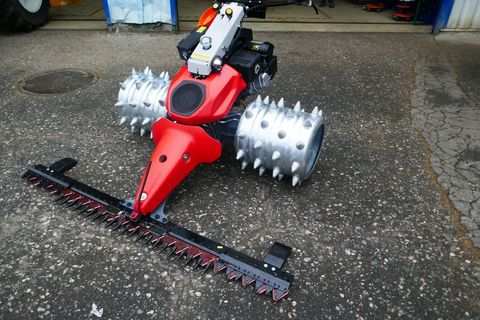 [3600-7151446-0.jpg]