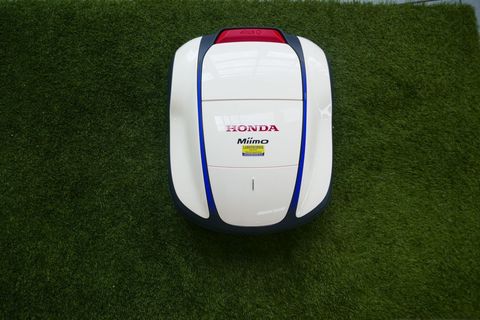 [3600-7181997-0.jpg]