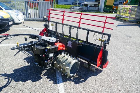 [3600-7228440-2.jpg]