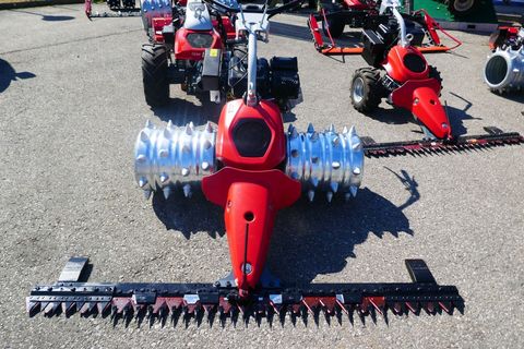 [3600-7302335-2.jpg]