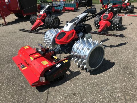 [3600-7366423-0.jpg]