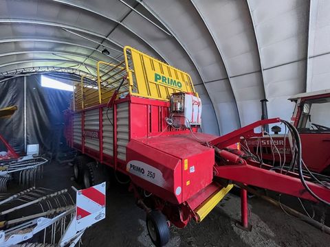 [3886-6116382-0.jpg]