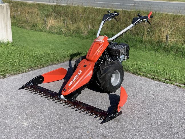 [3944-3711623-0_1.jpg]