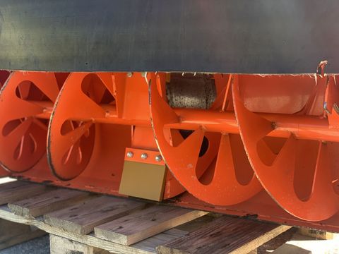 [3944-6120278-2.jpg]