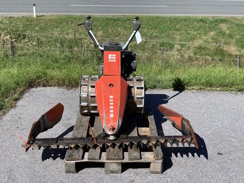 [3944-6130631-1.jpg]