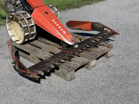 [3944-6130631-2.jpg]