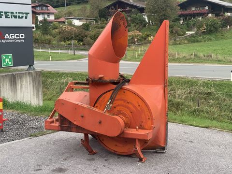 [3944-6278846-0.jpg]