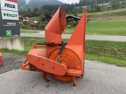 [3944-6278846-1.jpg]