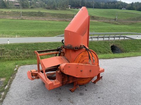 [3944-6278846-2.jpg]