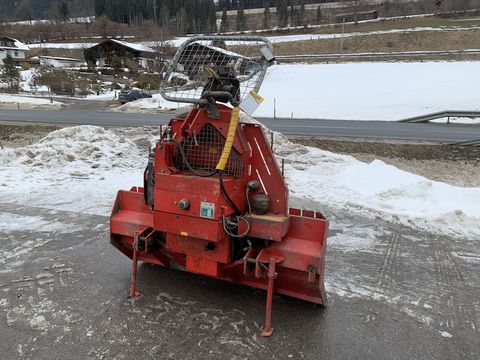 [3944-6681780-0.jpg]