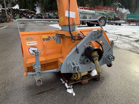 [3944-6743268-7.jpg]