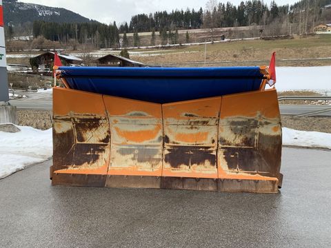 [3944-6743269-1.jpg]