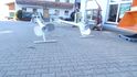 [4079-5280287-4.jpg]