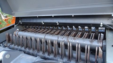 [4079-6081766-9.jpg]