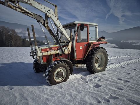 [4079-6638368-11.jpg]