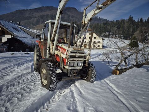 [4079-6638368-12.jpg]