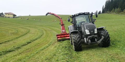 [5032-6047377-0.jpg]