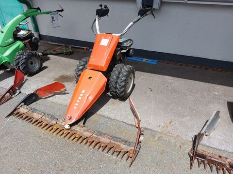 [5150-4402461-3.jpg]