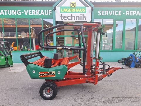 [6029-6462589-2.jpg]