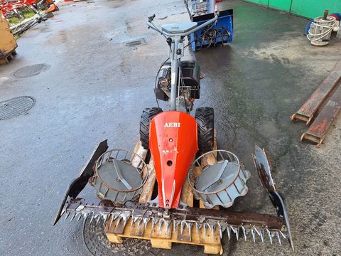 [6029-6550215-0.jpg]