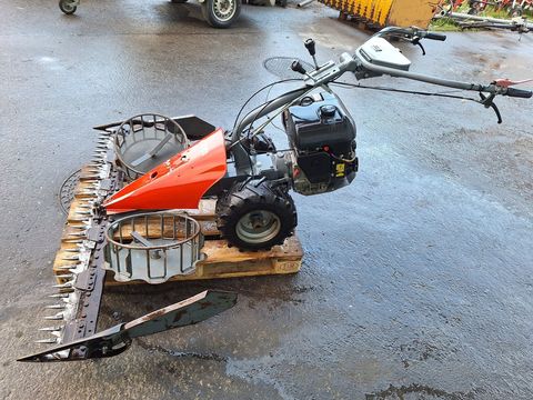 [6029-6550215-1.jpg]