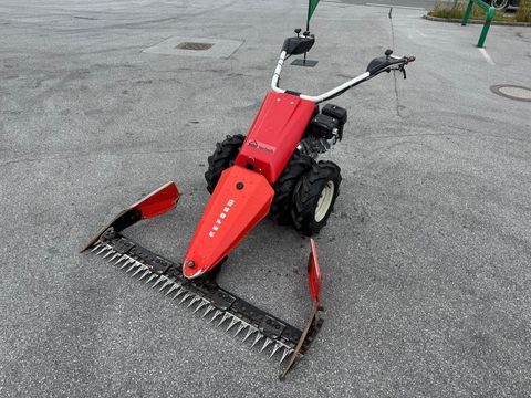 [6034-5986017-0.jpg]