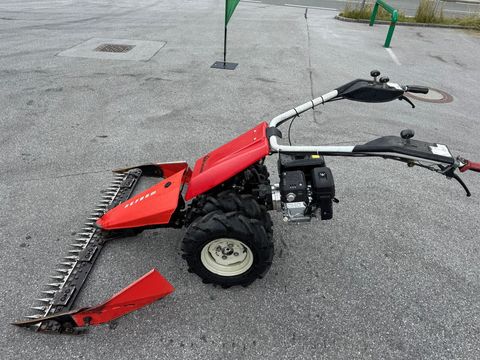 [6034-5986017-1.jpg]