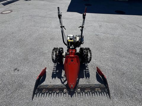 [6034-6440940-1.jpg]