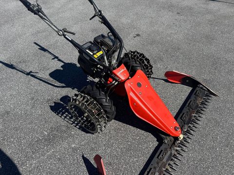 [6034-6440940-3.jpg]