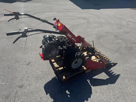 [6034-6496261-1.jpg]