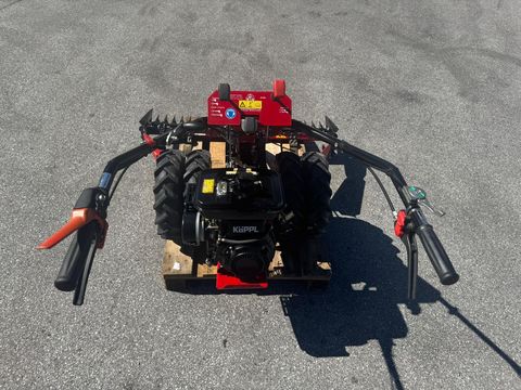 [6034-6496261-3.jpg]