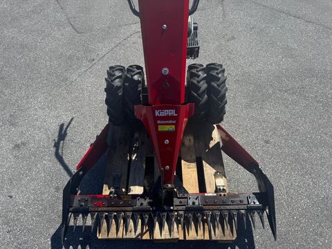 [6034-6496261-5.jpg]