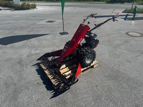 [6034-6496261-6.jpg]