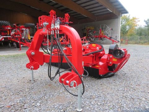 [7455-6298458-0.jpg]