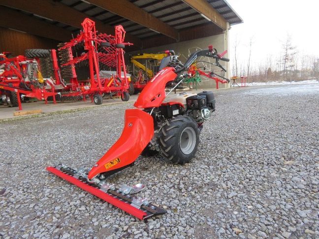 [7455-6732773-0_1.jpg]