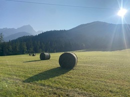 [1761686816000.jpeg]