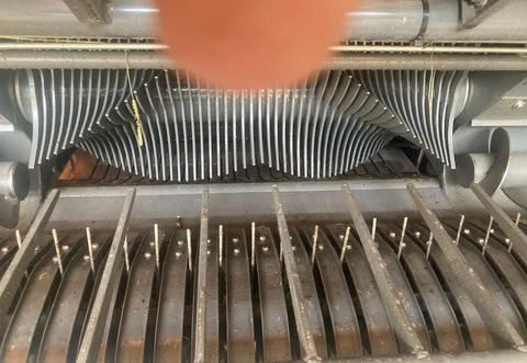 [3186-4404291-4.jpg]