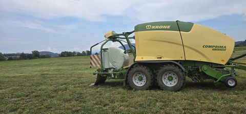 [3186-4446477-2.jpg]