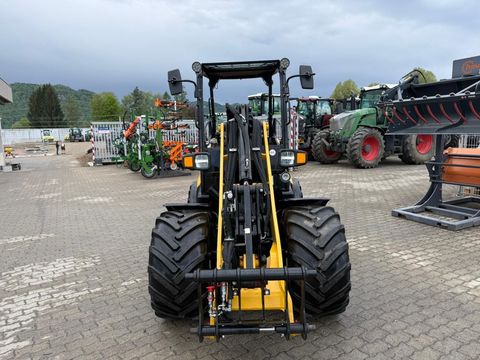 [3186-7093643-0.jpg]