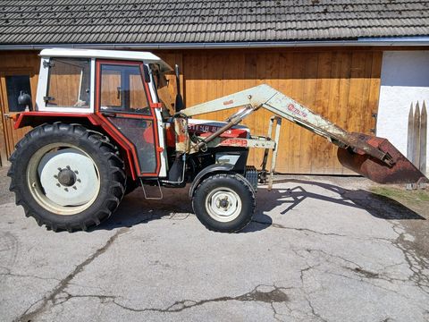 [3216-6865248-0.jpg]