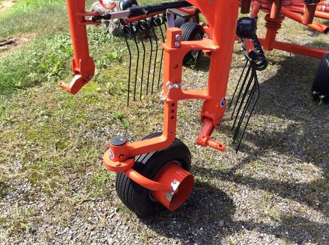 [3229-6615229-6.jpg]