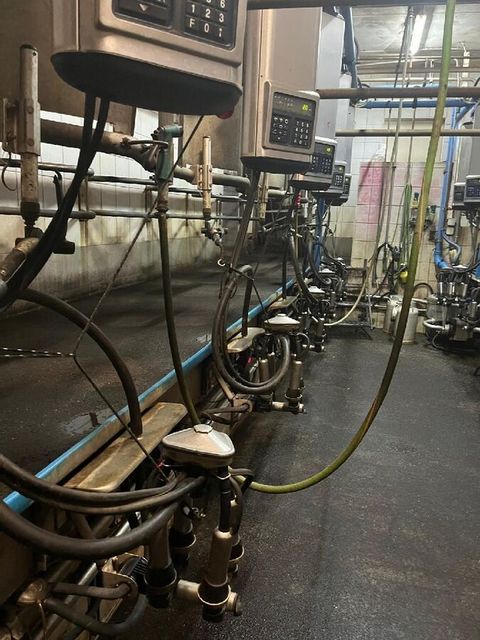 [3229-6663327-4.jpg]