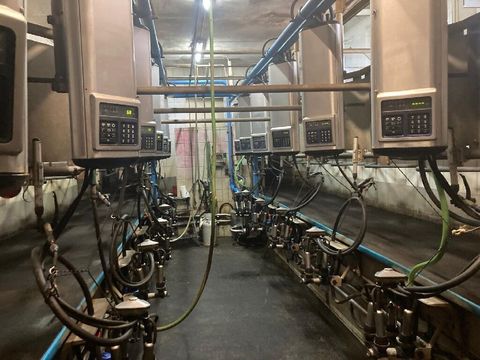 [3229-6663327-8.jpg]