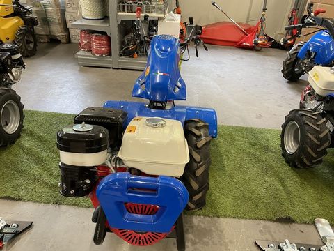 [3244-2730478-6.jpg]