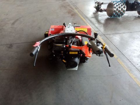 [3244-3175889-9.jpg]